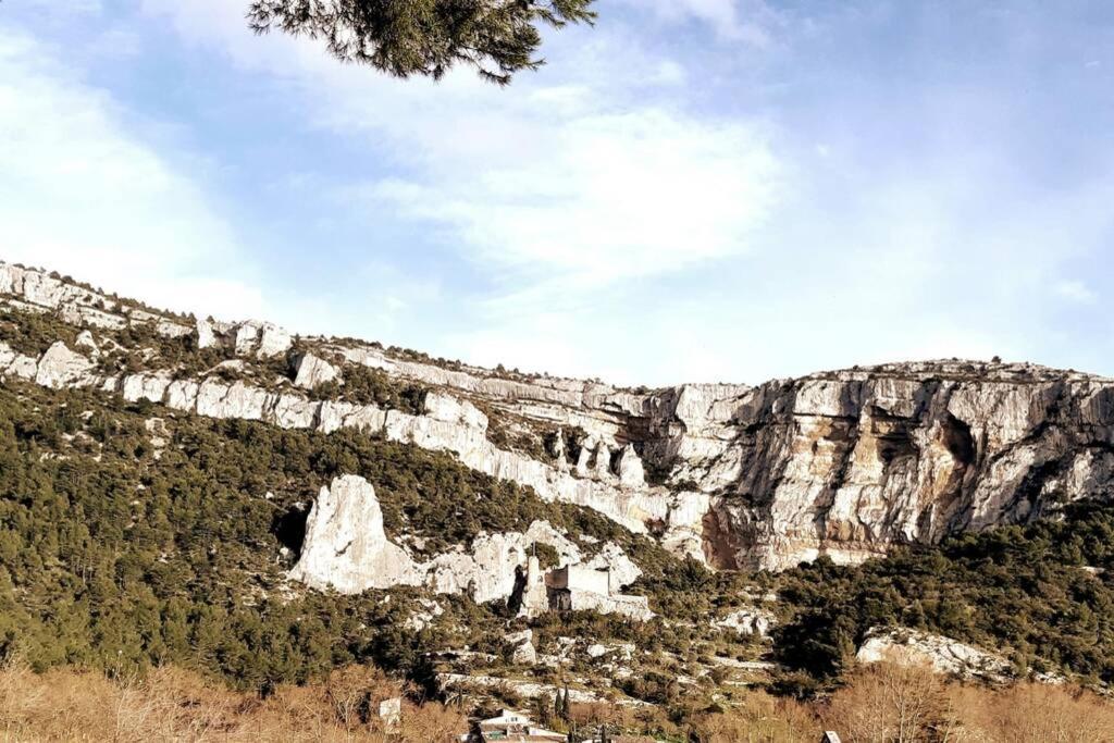 Vue Panoramique Sur Le Chateau,Montagne Et Grottes Фонтен-де-Воклюз Экстерьер фото