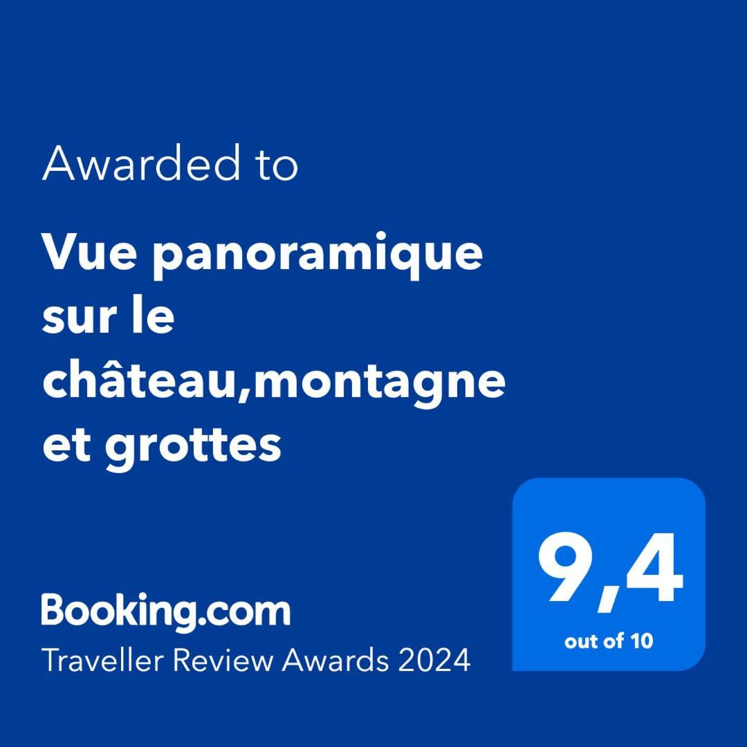 Vue Panoramique Sur Le Chateau,Montagne Et Grottes Фонтен-де-Воклюз Экстерьер фото